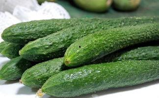 吃瓜生活苏安安,吃瓜生活里的快乐与成长