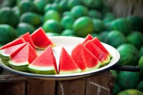 吃瓜生活苏安安,吃瓜生活里的快乐与成长