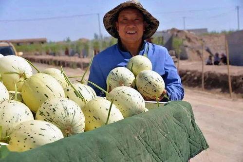 索拉和同学吃瓜,吃瓜畅谈校园趣事