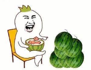 亲吻吃瓜,亲吻与吃瓜的趣味碰撞