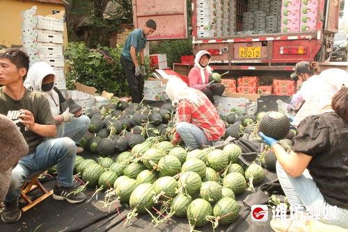 行走在吃瓜前线的你们,行走在娱乐前沿的我们