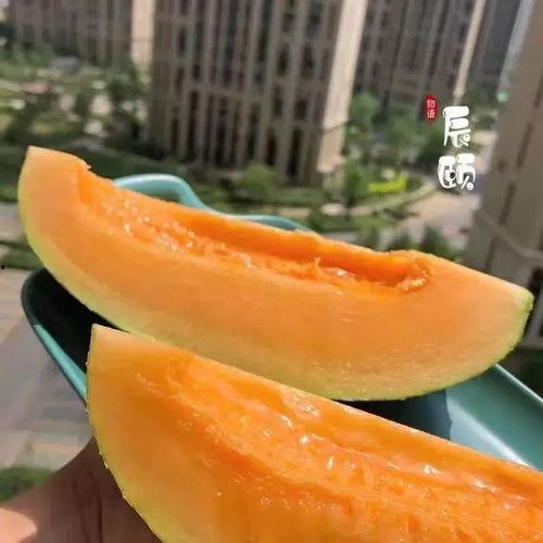密瓜是怎么吃的,解锁夏日清新美味