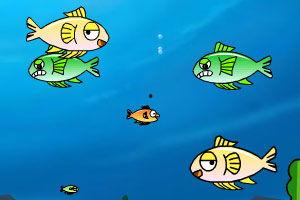 波力小鱼 吃瓜,吃瓜背后的趣味与智慧