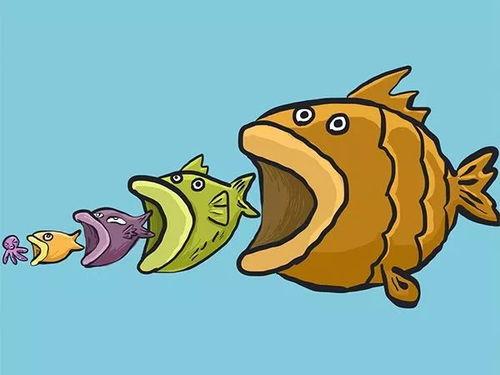 波力小鱼 吃瓜,吃瓜背后的趣味与智慧