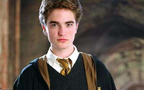 吃瓜罗伯特澜久