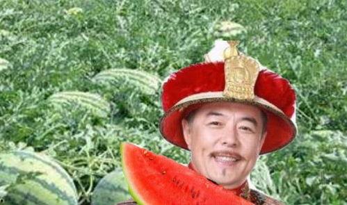 路边吃瓜的大妈,揭秘生活百态