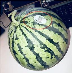 淮安网红吃瓜,揭秘当地美食背后的故事