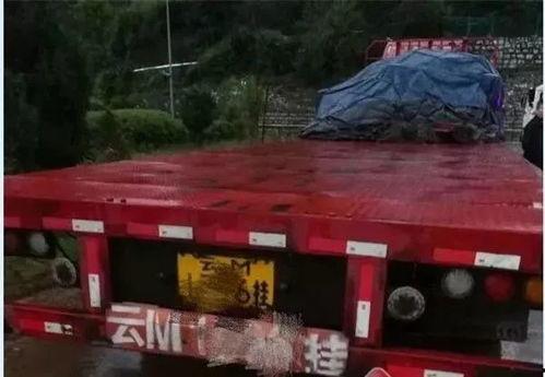 吃瓜群众大货车