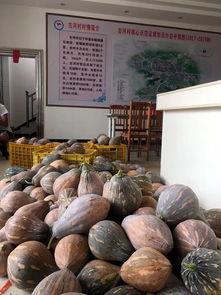 桂林银行吃瓜,吃瓜群众视角下的金融风云