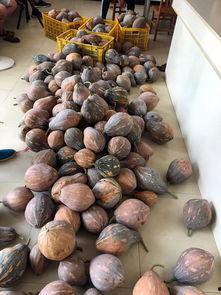 桂林银行吃瓜,吃瓜群众视角下的金融风云