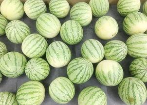 真吃瓜图片,揭秘娱乐圈幕后真相