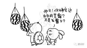 矮子瓜不能随便吃,揭秘食用禁忌，安全享用指南