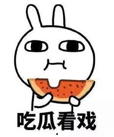 吃瓜变吃席知乎,揭秘网络热词背后的文化现象