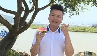 苍南主播吃瓜,揭秘娱乐圈幕后故事