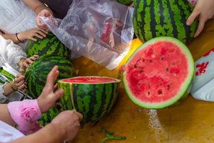 滩区吃瓜视频,吃瓜群众眼中的乡村生活