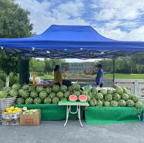 吃瓜群众门票,揭秘“吃瓜群众”门票背后的狂欢盛宴
