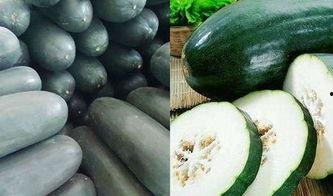 吃瓜吃的难受,揭秘“瓜农”的酸甜苦辣