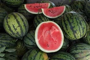 可以包着吃的瓜,探索各式可食瓜果的魅力