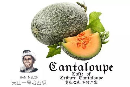 吃瓜说瓜是违规词吗,网络流行语背后的违规风险