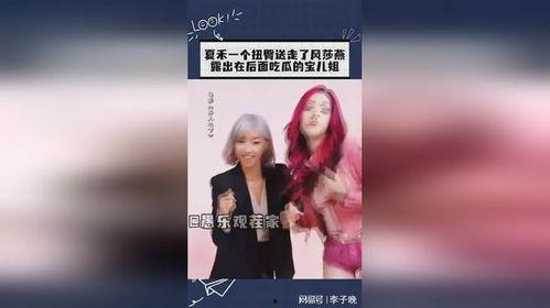 宝儿吃瓜,揭秘娱乐圈幕后故事