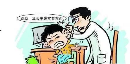 吃西湖瓜耳朵疼,甜蜜诱惑背后的疼痛之谜