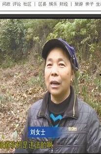 吃瓜少女刘大妈视频,揭秘娱乐圈幕后故事