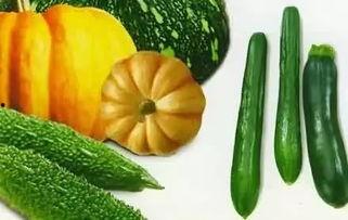 波密瓜怎样吃,探索美味新境界