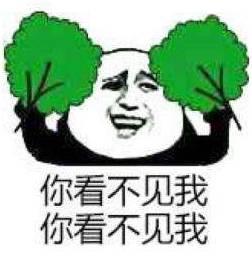 吃瓜群众看烟花的图片,全民共享欢乐时光