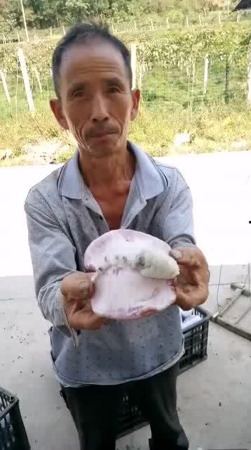 吃瓜大叔照片高清,吃瓜大叔的日常生活瞬间