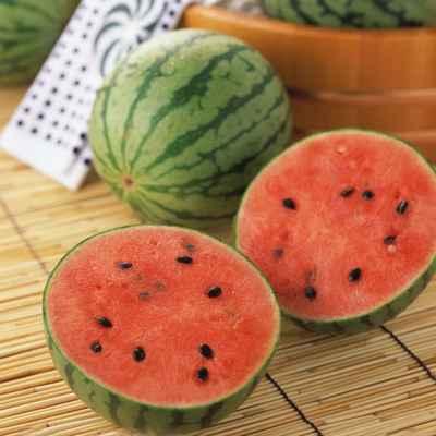 吃河北建材的瓜