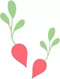 儿歌秋天吃啥瓜,跟随童谣探寻秋瓜盛宴