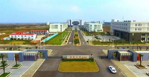 南通大学吃瓜,吃瓜群众眼中的校园美食盛宴  第2张