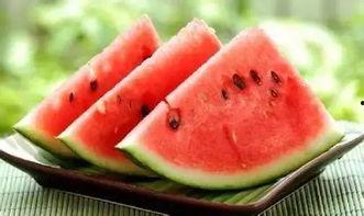 吃瓜趣事,那些让人捧腹大笑的吃瓜趣事