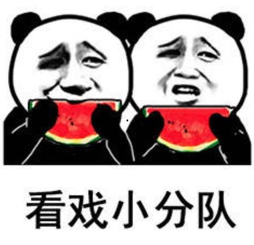 吃瓜吃全的图片表情包  第3张