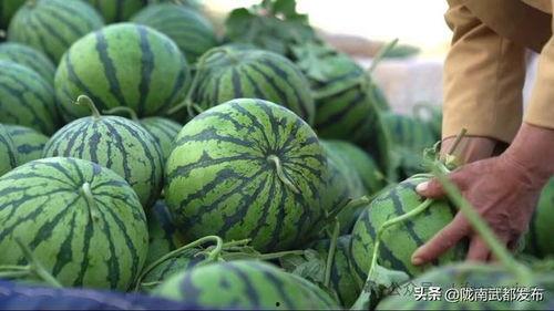 产地吃瓜,探寻各地特色产地美味瓜果之旅