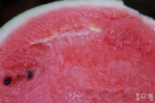 豁牙子吃瓣瓜  第2张