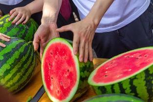 大学宿舍带你吃瓜,揭秘校园里的“吃瓜”风云  第3张