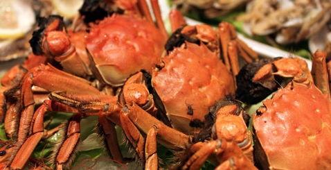 吃完螃蟹吃凉瓜  第2张