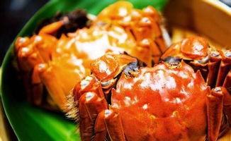 吃完螃蟹吃凉瓜  第3张