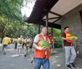 邳州吃瓜群众,吃瓜群众的热议焦点  第3张