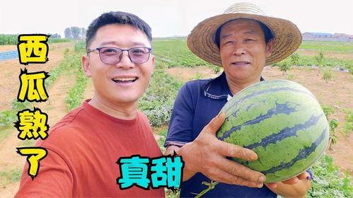 刘大瓜吃鹅头,舌尖上的勇气与美味  第2张