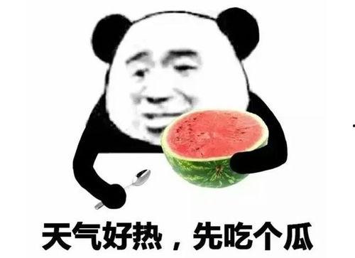 带你吃瓜owo,带你领略“带你吃瓜owo”的独特魅力  第3张