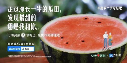 路过吃瓜的文案,揭秘娱乐圈幕后故事  第2张