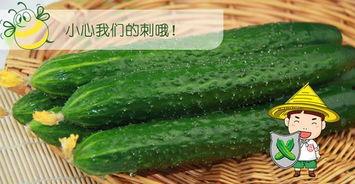 吃瓜最佳模式,轻松解锁快乐观战新姿势  第3张