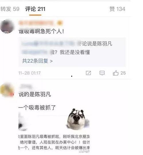 忙得很到处吃瓜  第3张