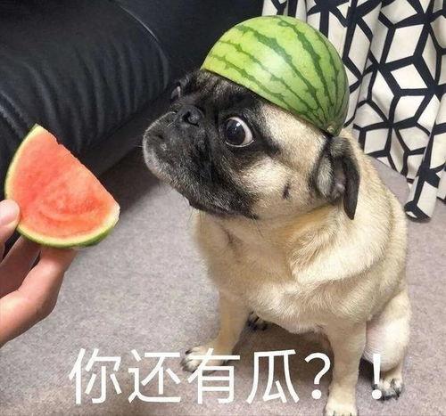 每天抖音吃瓜,揭秘娱乐圈幕后故事  第3张