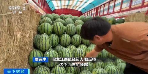 山山吃瓜,揭秘娱乐圈那些不为人知的幕后故事