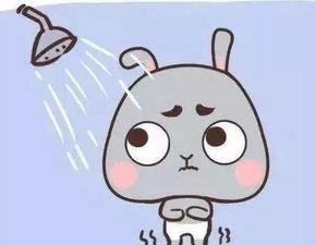 老弟生病吃瓜  第3张