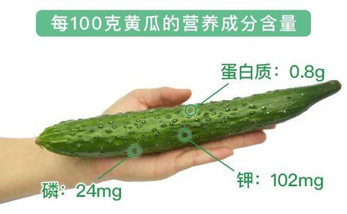 便秘吃方瓜,缓解便秘，肠道畅通的天然良方  第2张